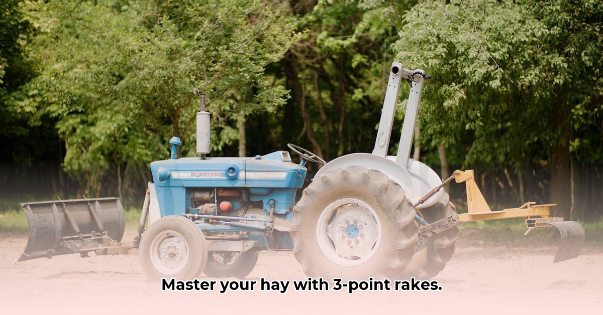 tractor-supply-3-point-rake